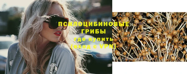 гашик Алзамай